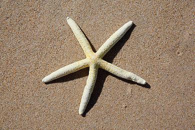 《艾尔登法环》称霸欧洲 PC版销量最高